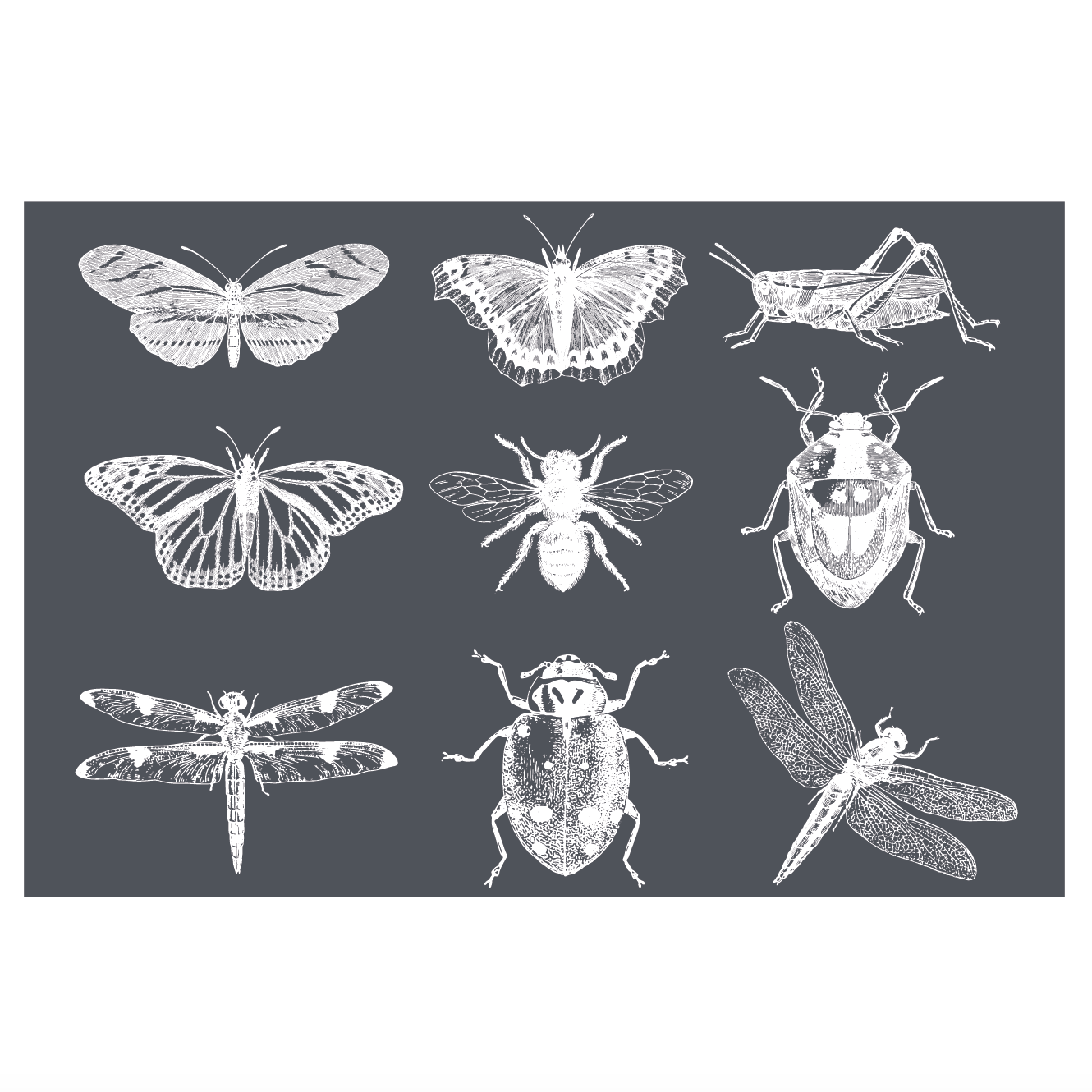 Garden Insects - Mesh Stencil 18x12